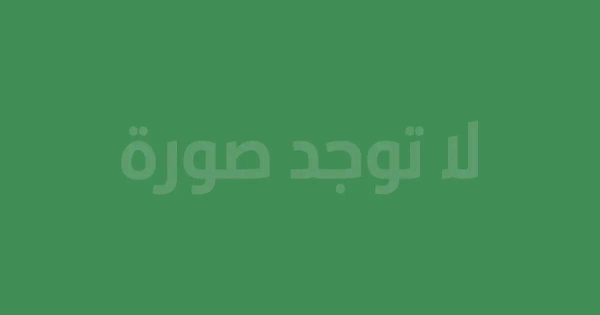 شروط الاستخدام